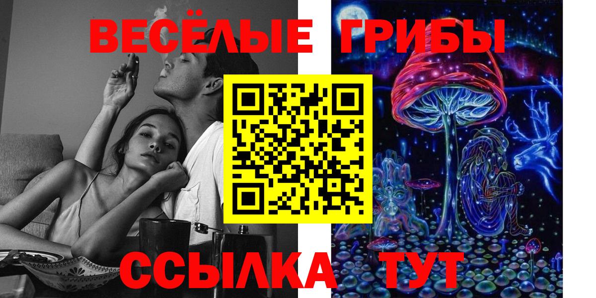 Псилоцибиновые грибы Psilocybe  Вход с VPN  Берёзовский 