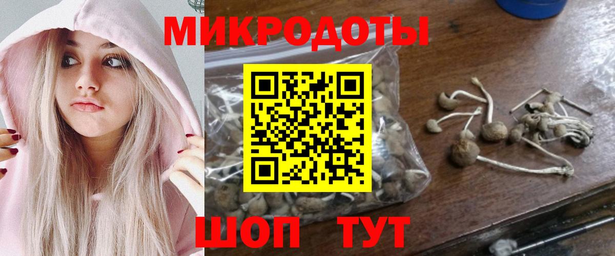 Галлюциногенные грибы прущие грибы Берёзовский